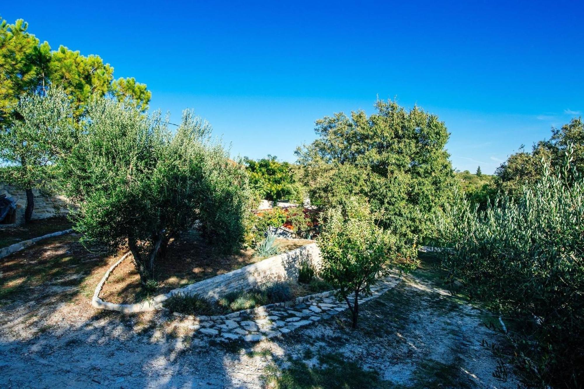 My Dalmatia - Holiday Home Korlat With Private Pool Benkovac Zewnętrze zdjęcie